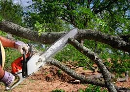 Best Firewood Processing and Delivery  in Brooktrails, CA